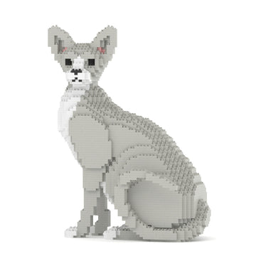 Sphynx Cat 01