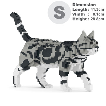 Jekca American Shorthair Cat 02S-M01