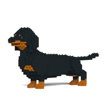 Dachshund 02-M01