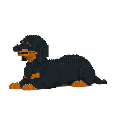 Dachshund 04-M01