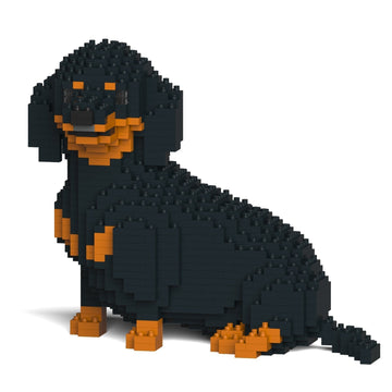 Dachshund 05-M01