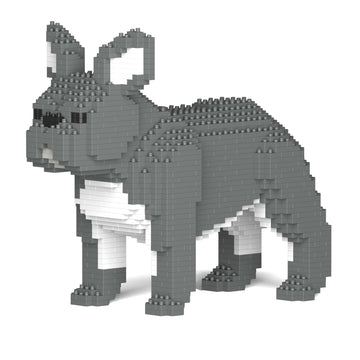 French Bulldog 02-M05