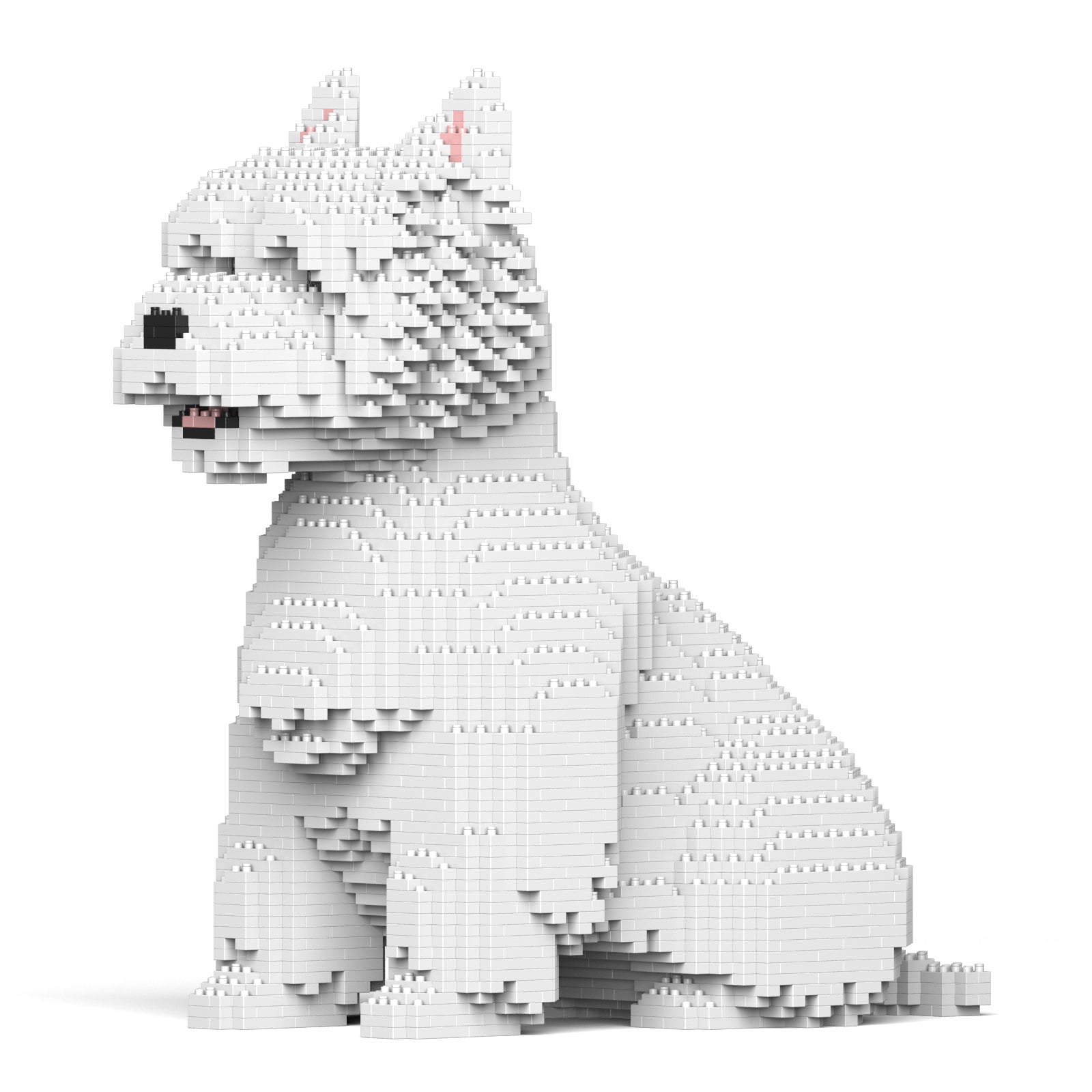 West Highland White Terrier 03 – Jekca Shop