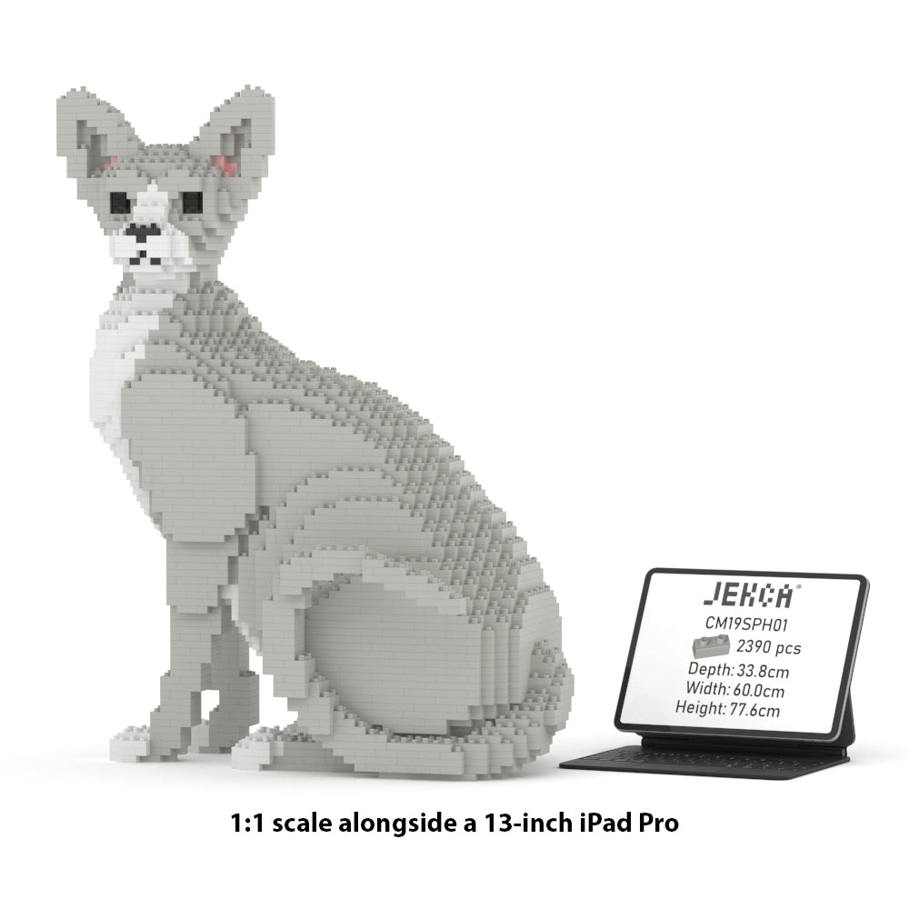Sphynx Cat 01