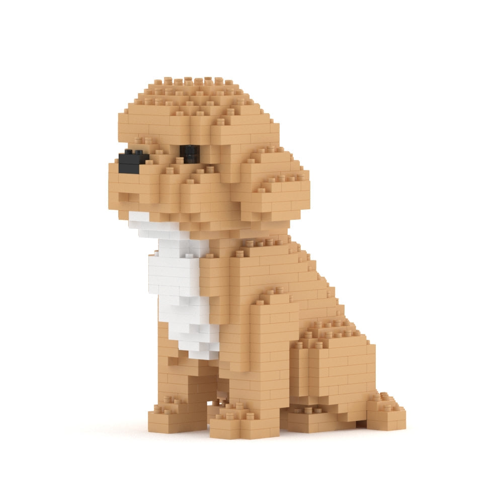 Cockapoo Mini 01