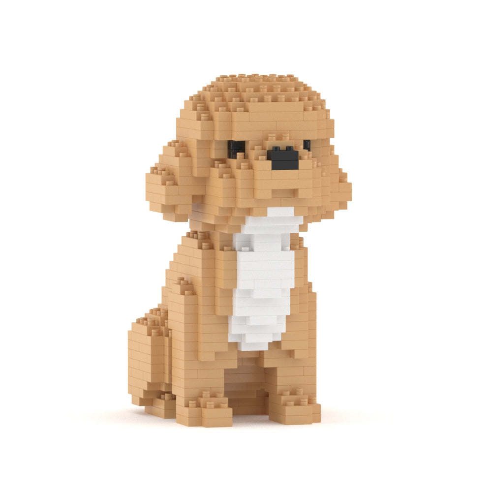 Cockapoo Mini 01