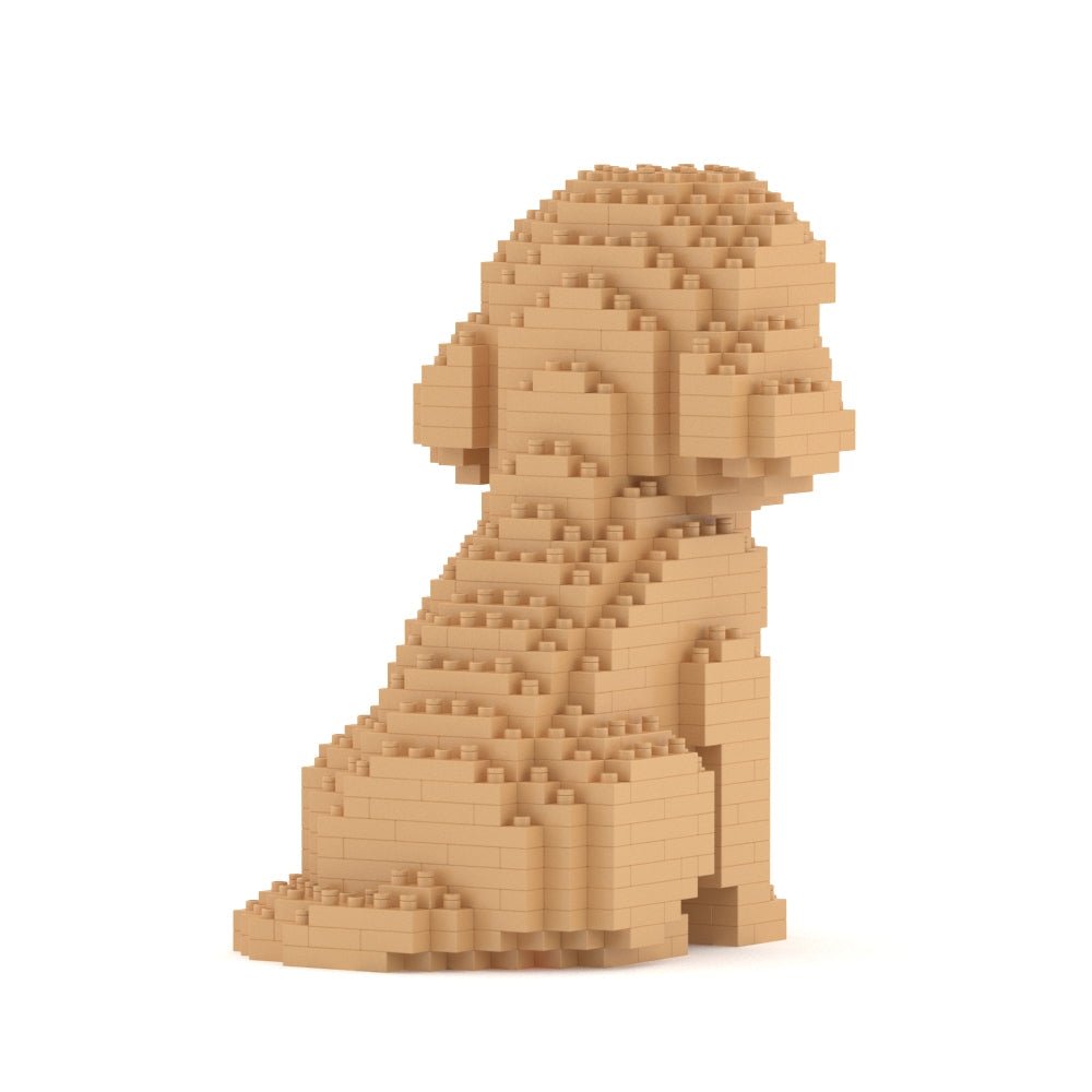 Cockapoo Mini 01