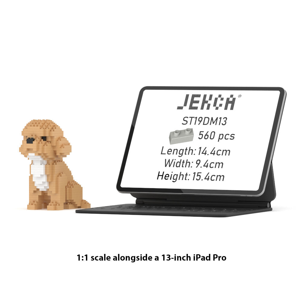Cockapoo Mini 01