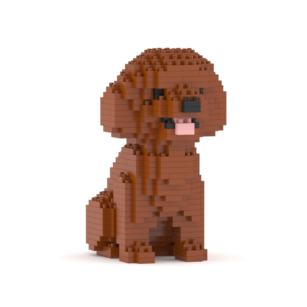 Toy Poodle Mini 01