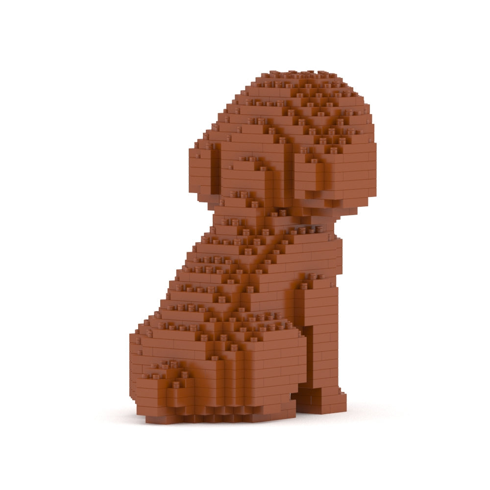 Toy Poodle Mini 01