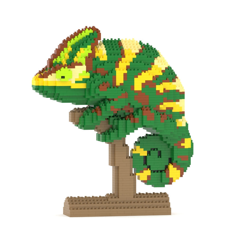 Veiled Chameleon 01