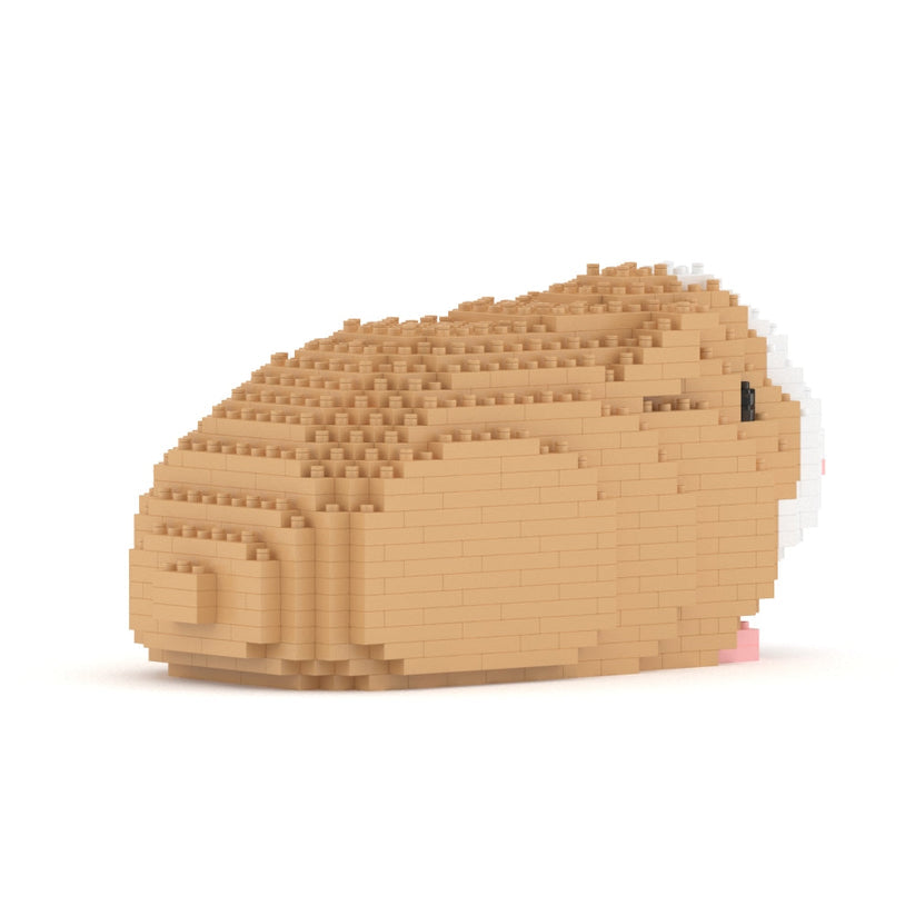 Guinea Pig 01