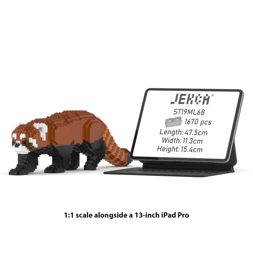 Red Panda 02