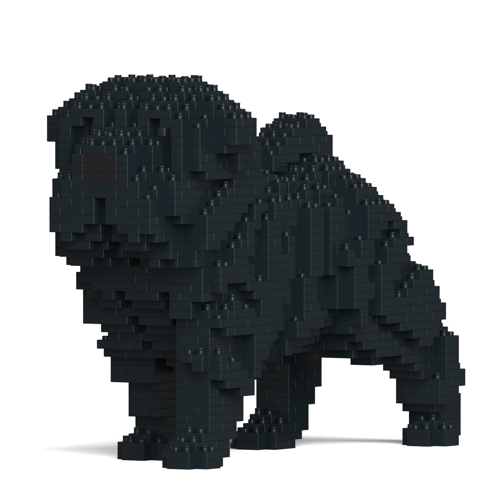 Shar Pei Dog 01-M02