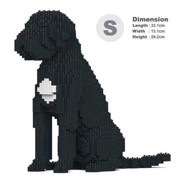 Cane Corso Dog 01-M01