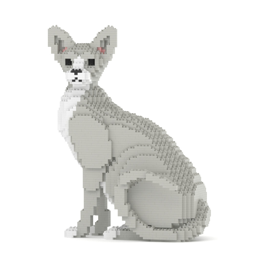 Sphynx Cat 01