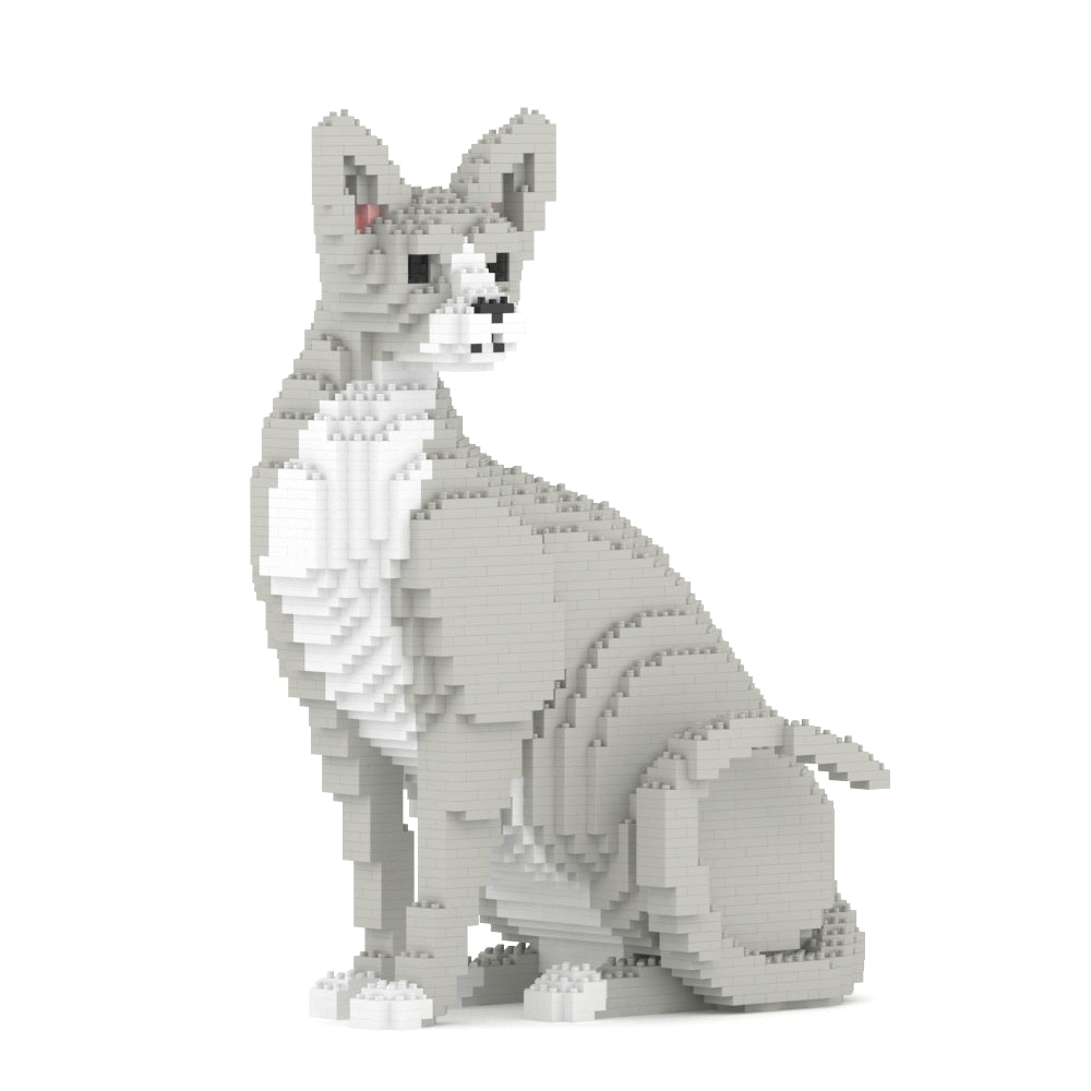 Sphynx Cat 01
