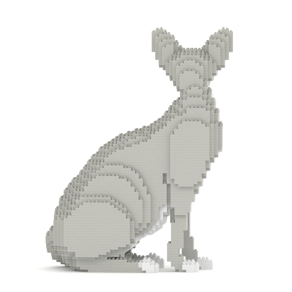 Sphynx Cat 01