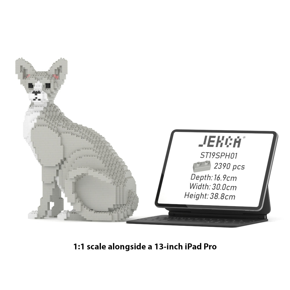 Sphynx Cat 01