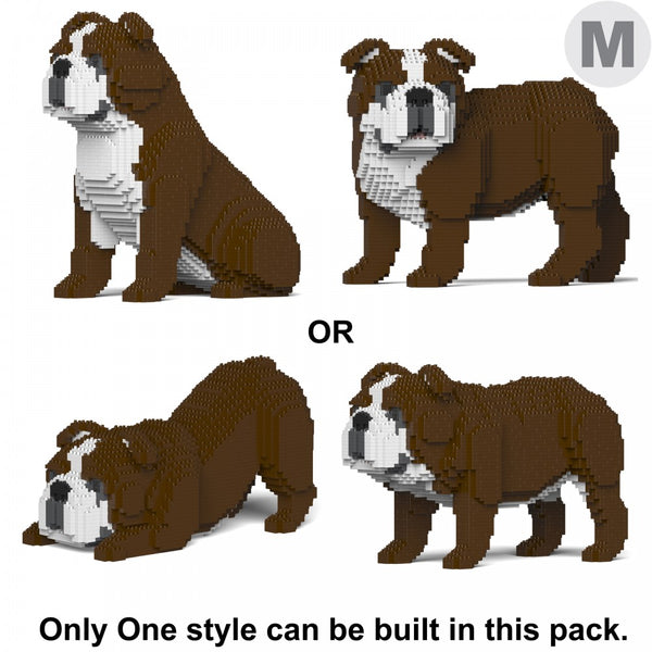 Jekca English Bulldog 4-In-1 Pack 01C-M01