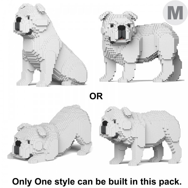 Jekca English Bulldog 4-In-1 Pack 01C-M02