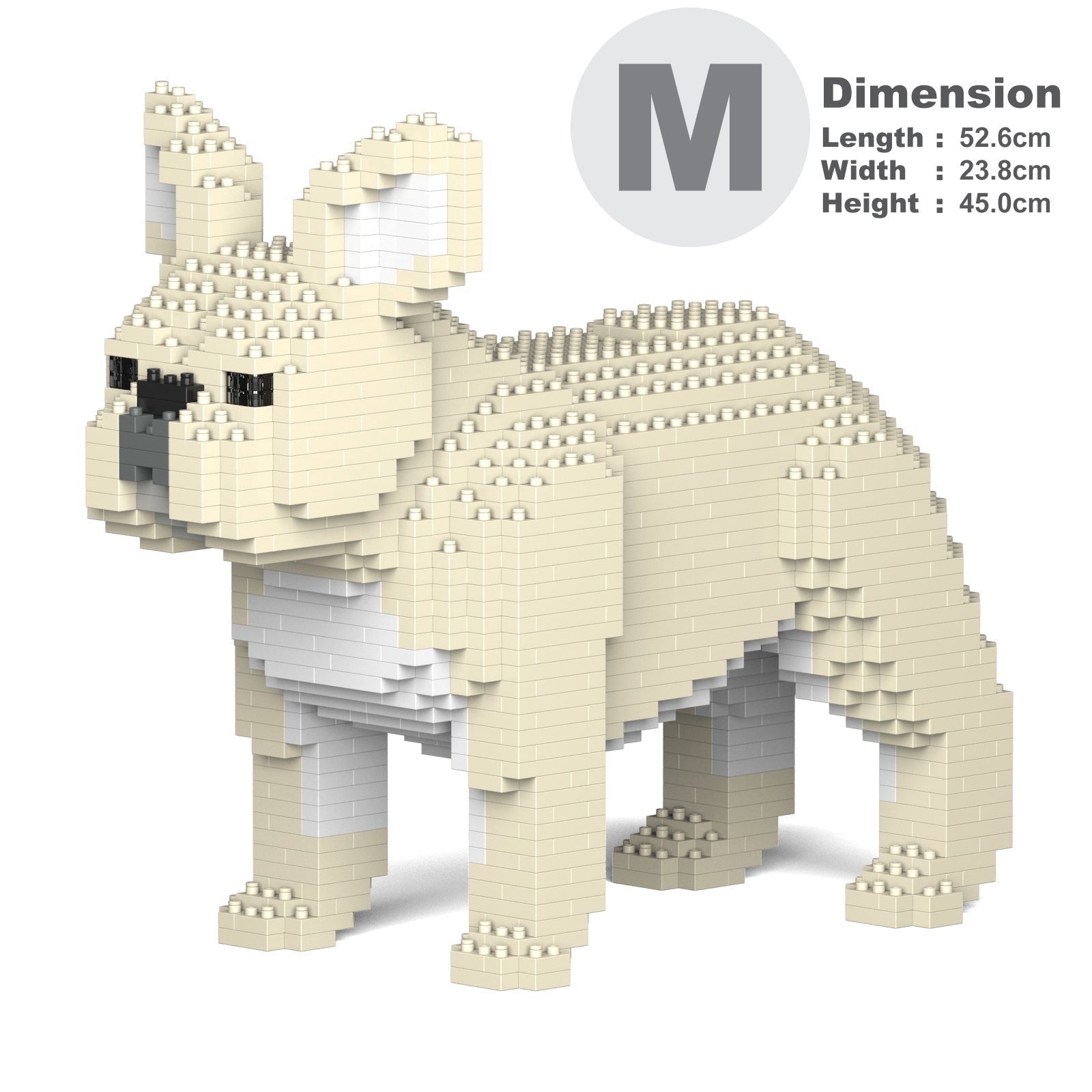French Bulldog 02-M02