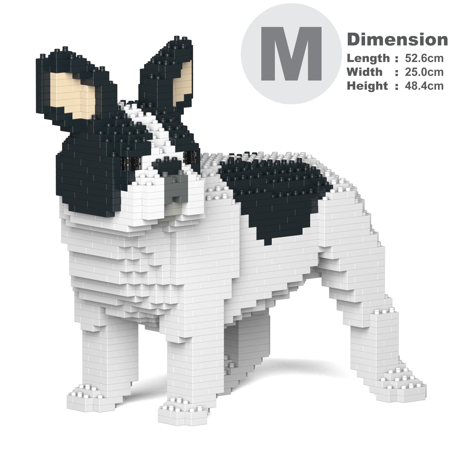 French Bulldog 03-M04