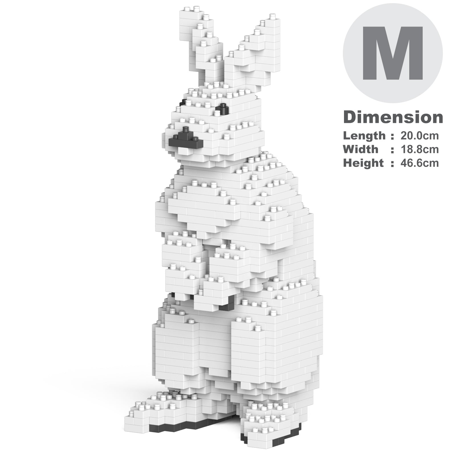 Rabbit 01