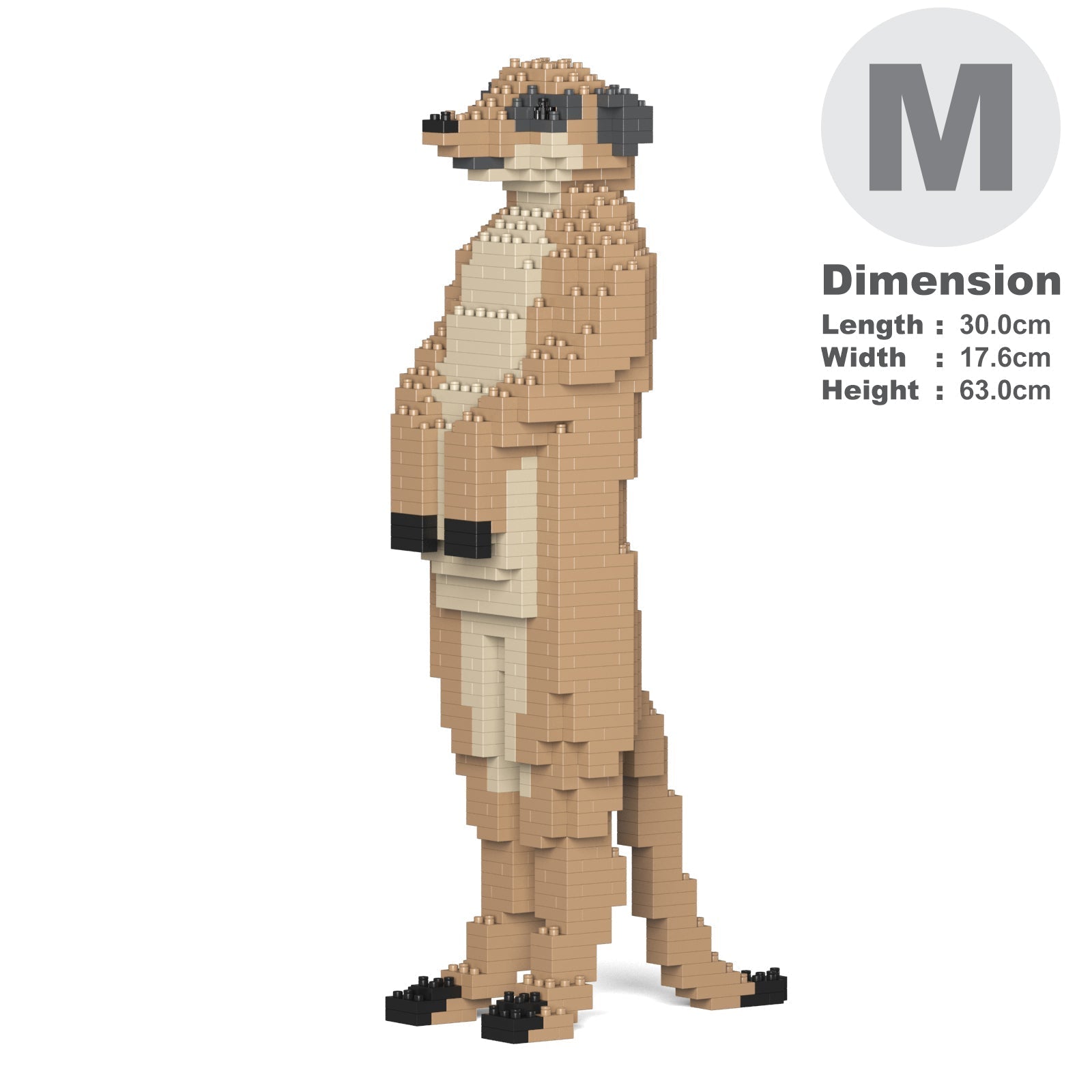Meerkat 01