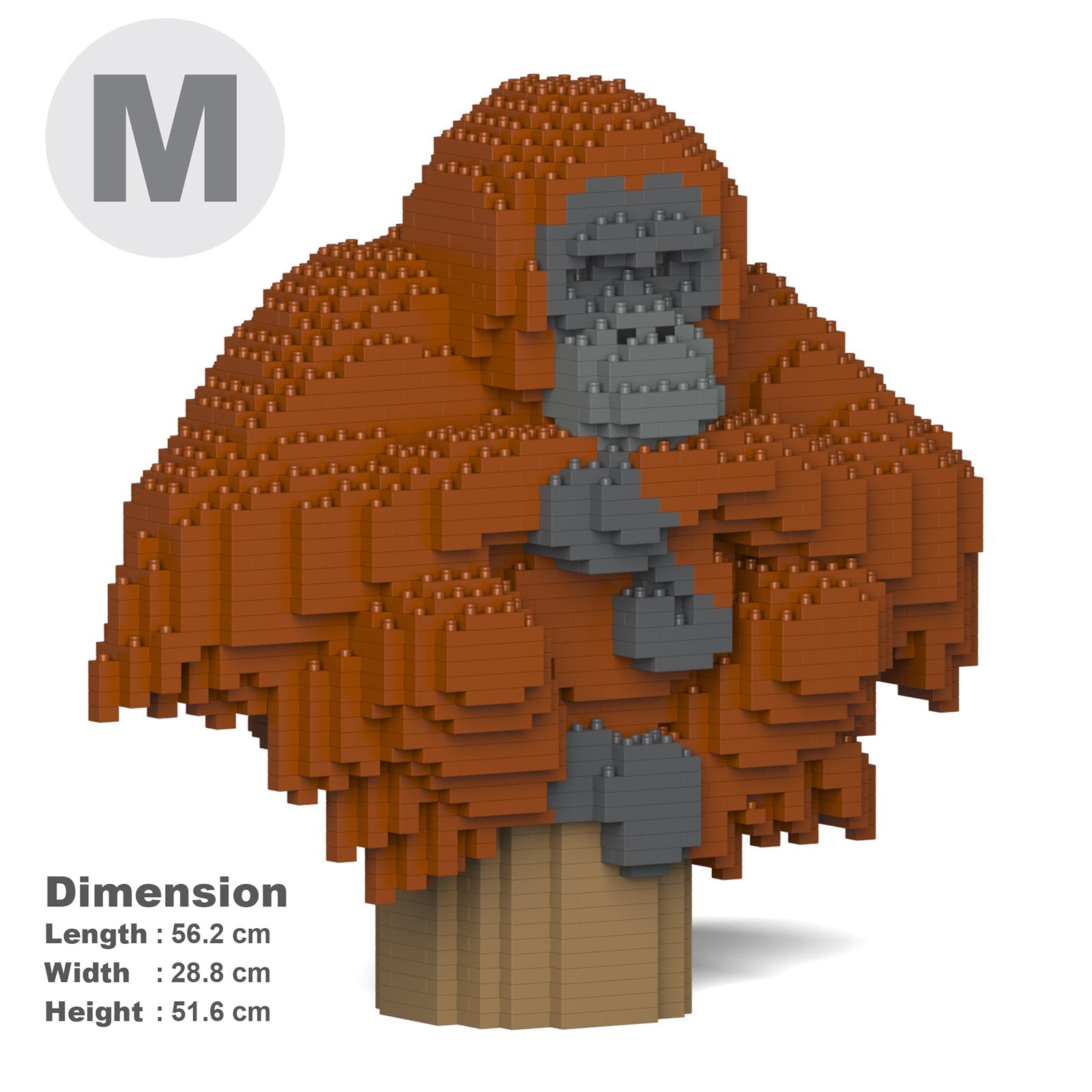 Orangutan 01