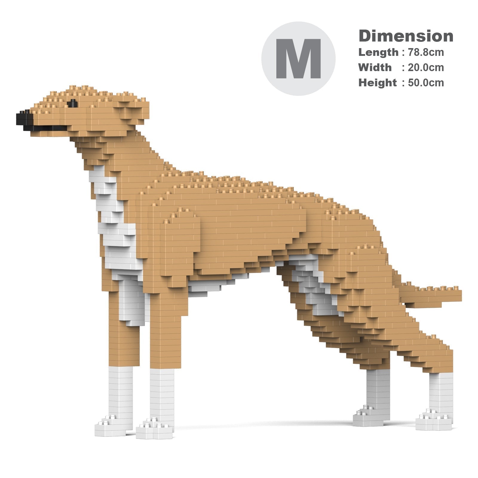 Greyhound 01-M01