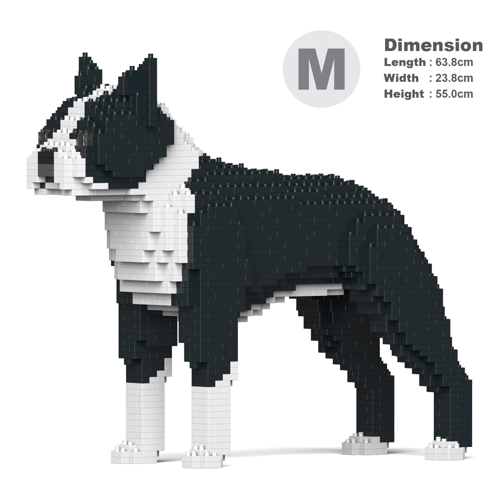 Jekca Boston Terrier 01-M01