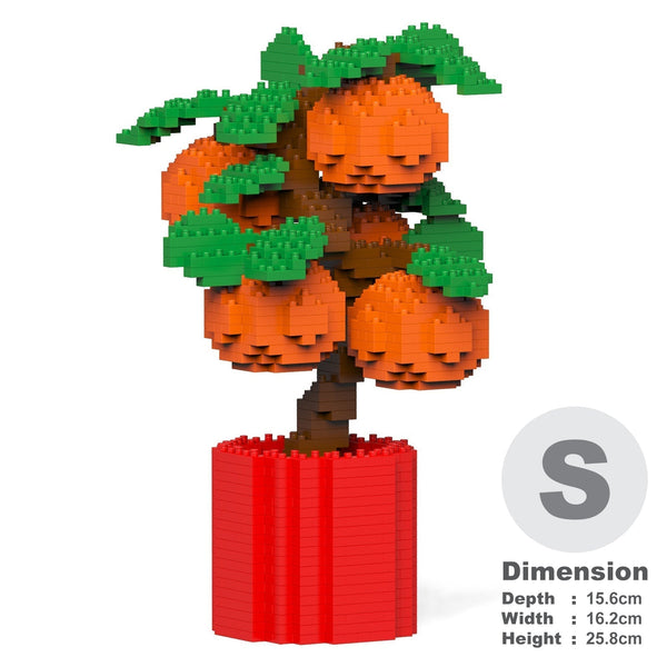 Jekca Tangerine 01S