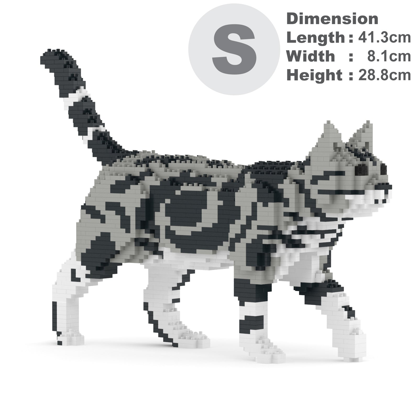Jekca American Shorthair Cat 02S-M01