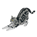 Jekca American Shorthair Cat 04S-M01