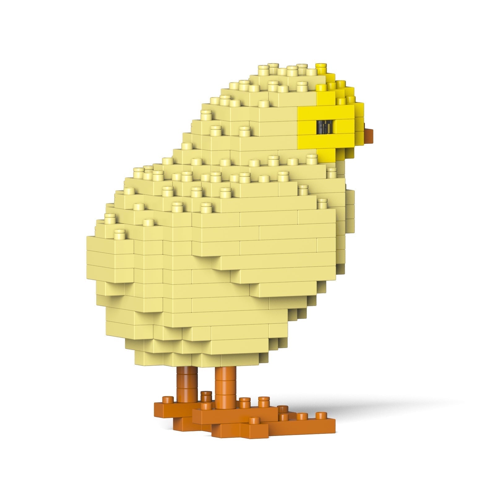 Chick 01