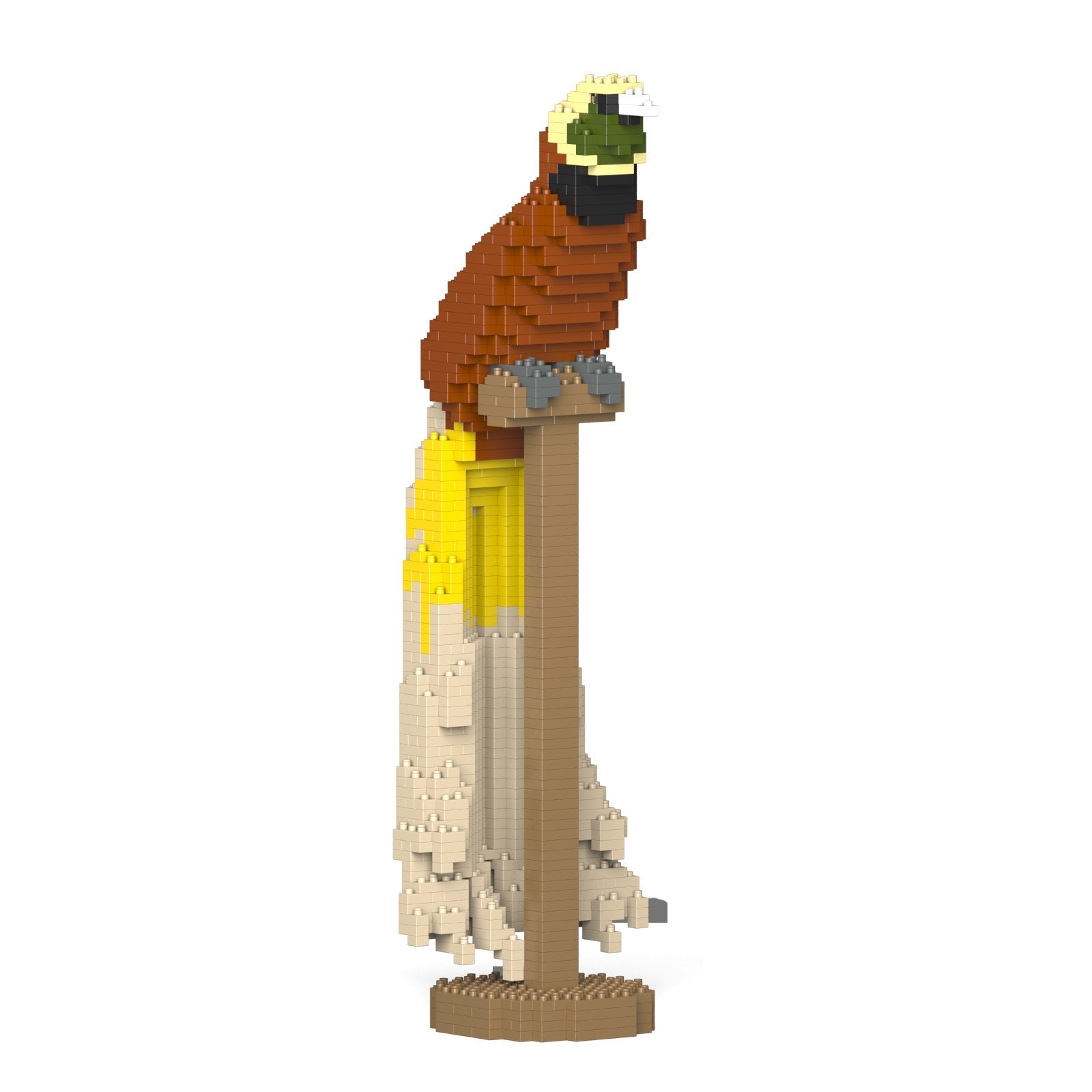 Jekca Bird-of-paradise 01