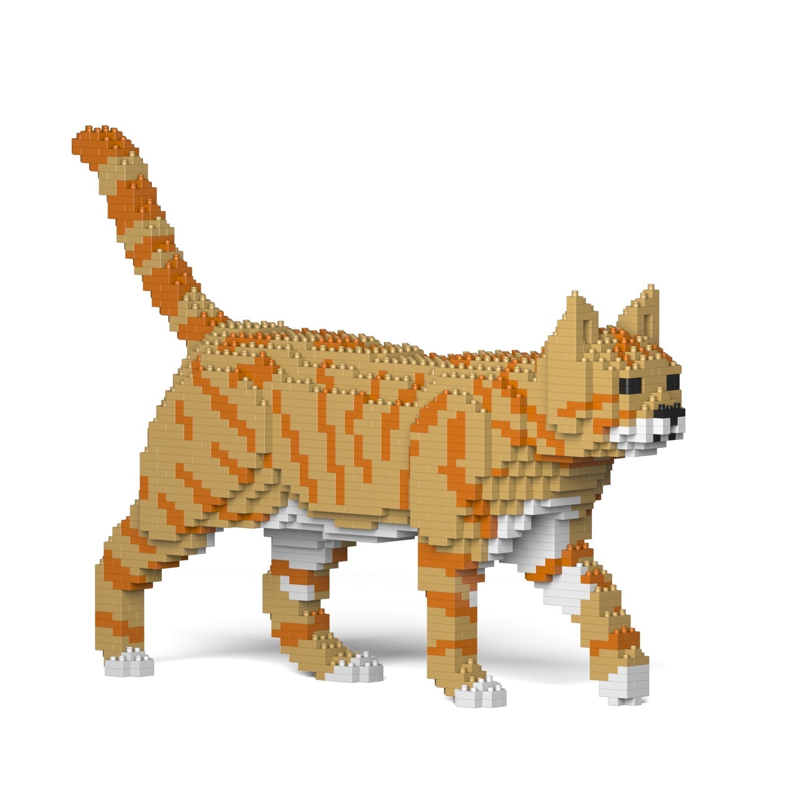 Jekca Cat 03S-M01