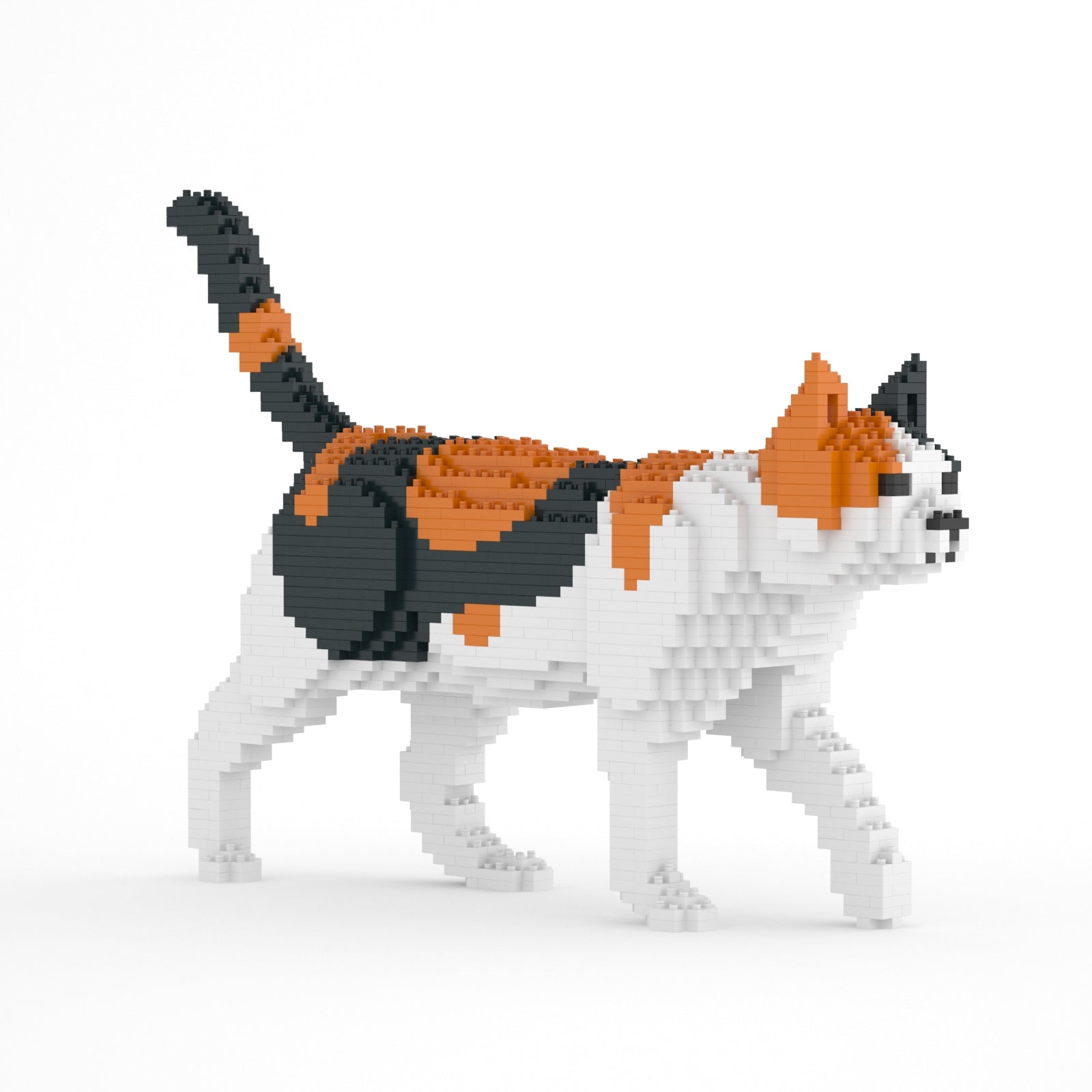 Jekca Cat 11S-M01