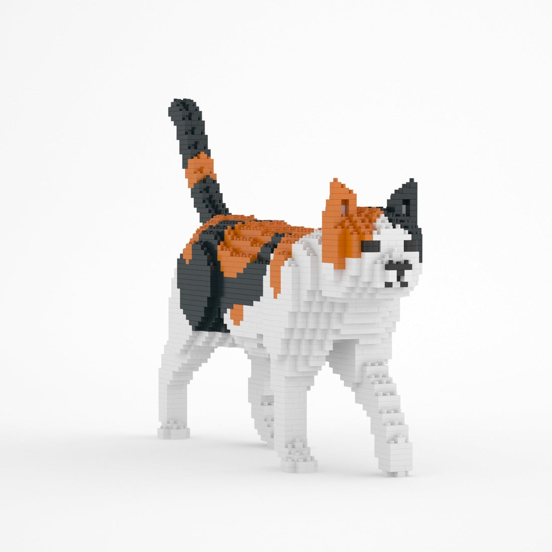 Jekca Cat 11S-M01