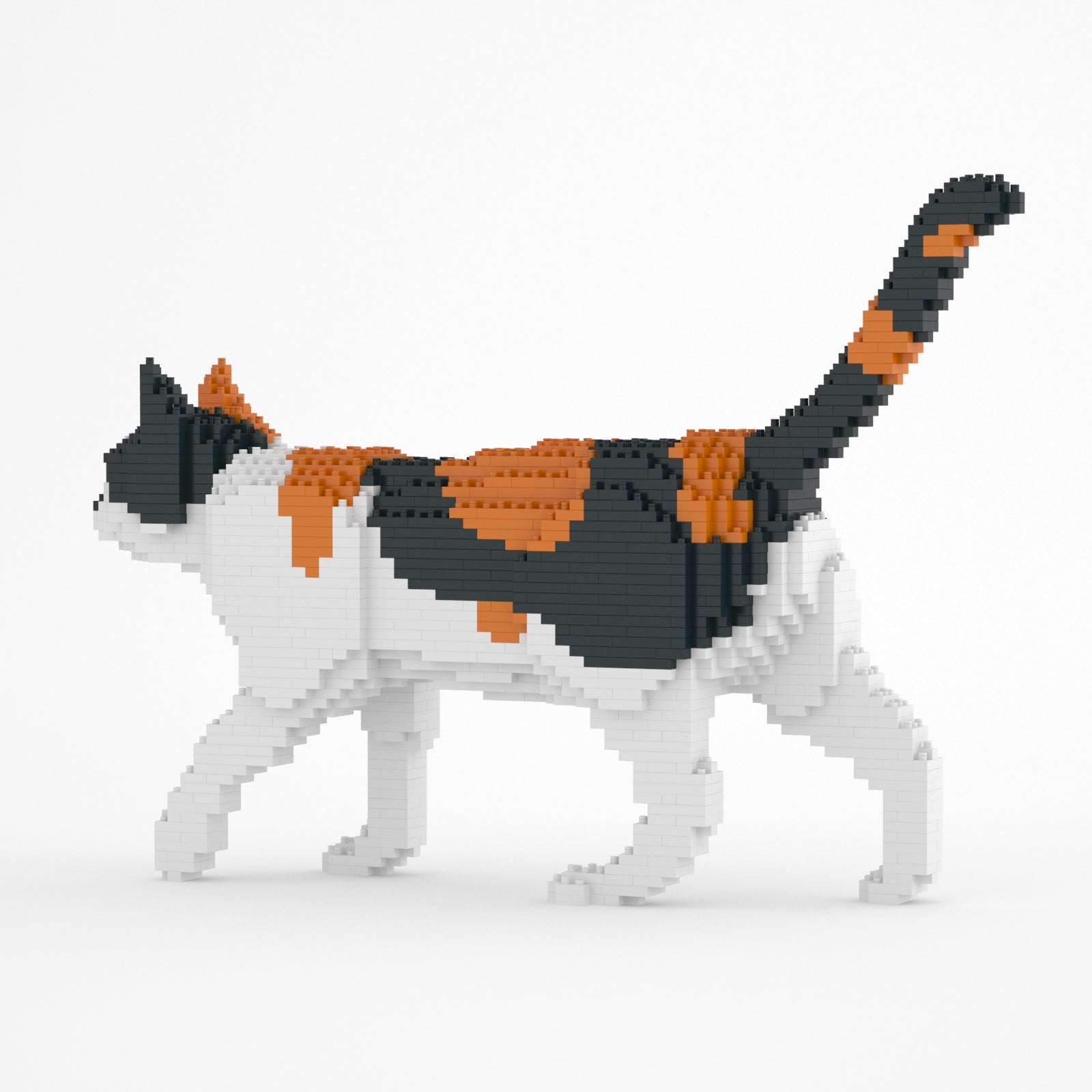 Jekca Cat 11S-M01
