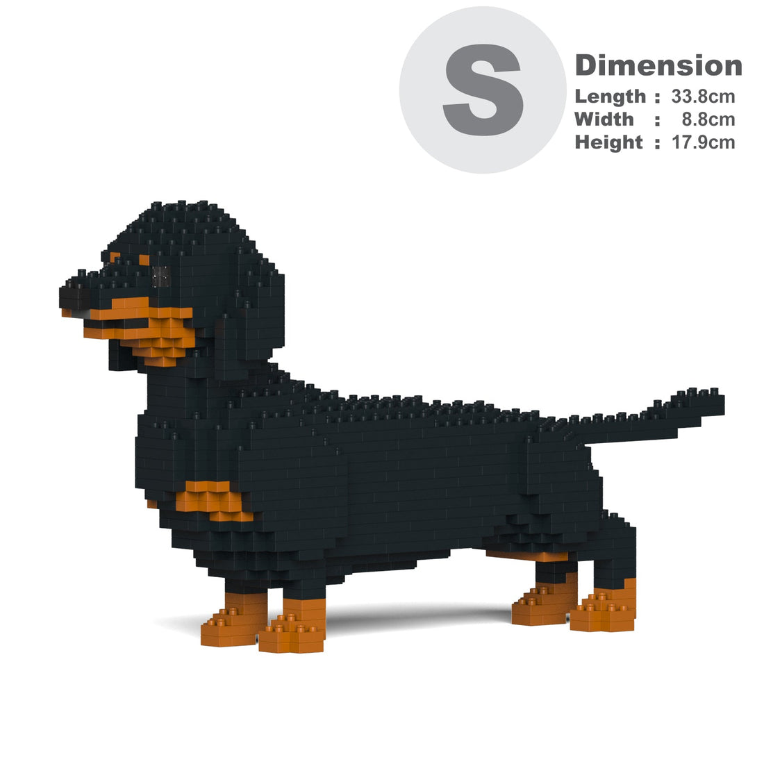 Dachshund 02-M01