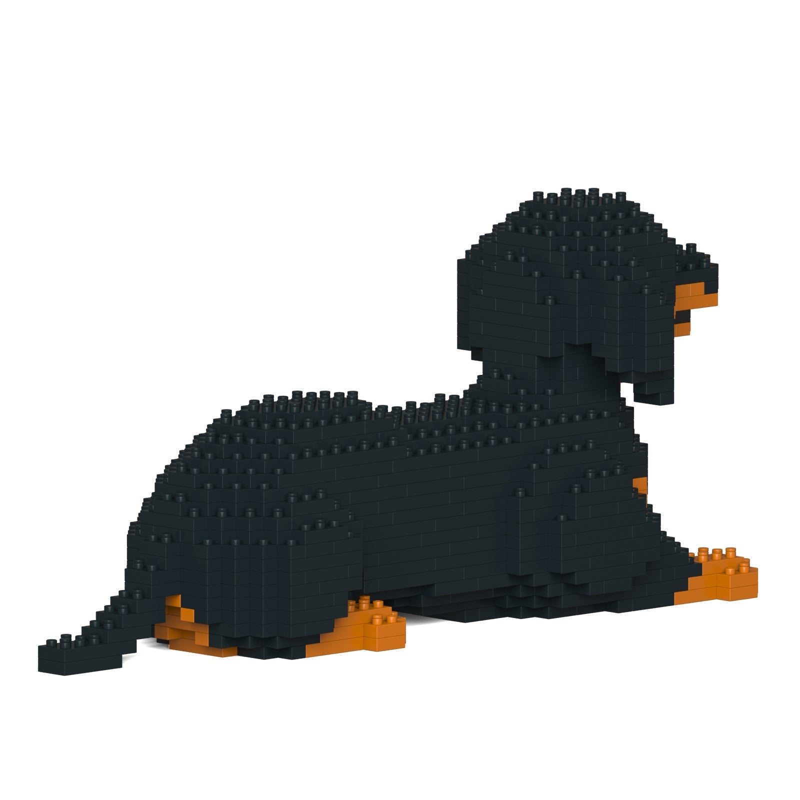 Dachshund 04-M01