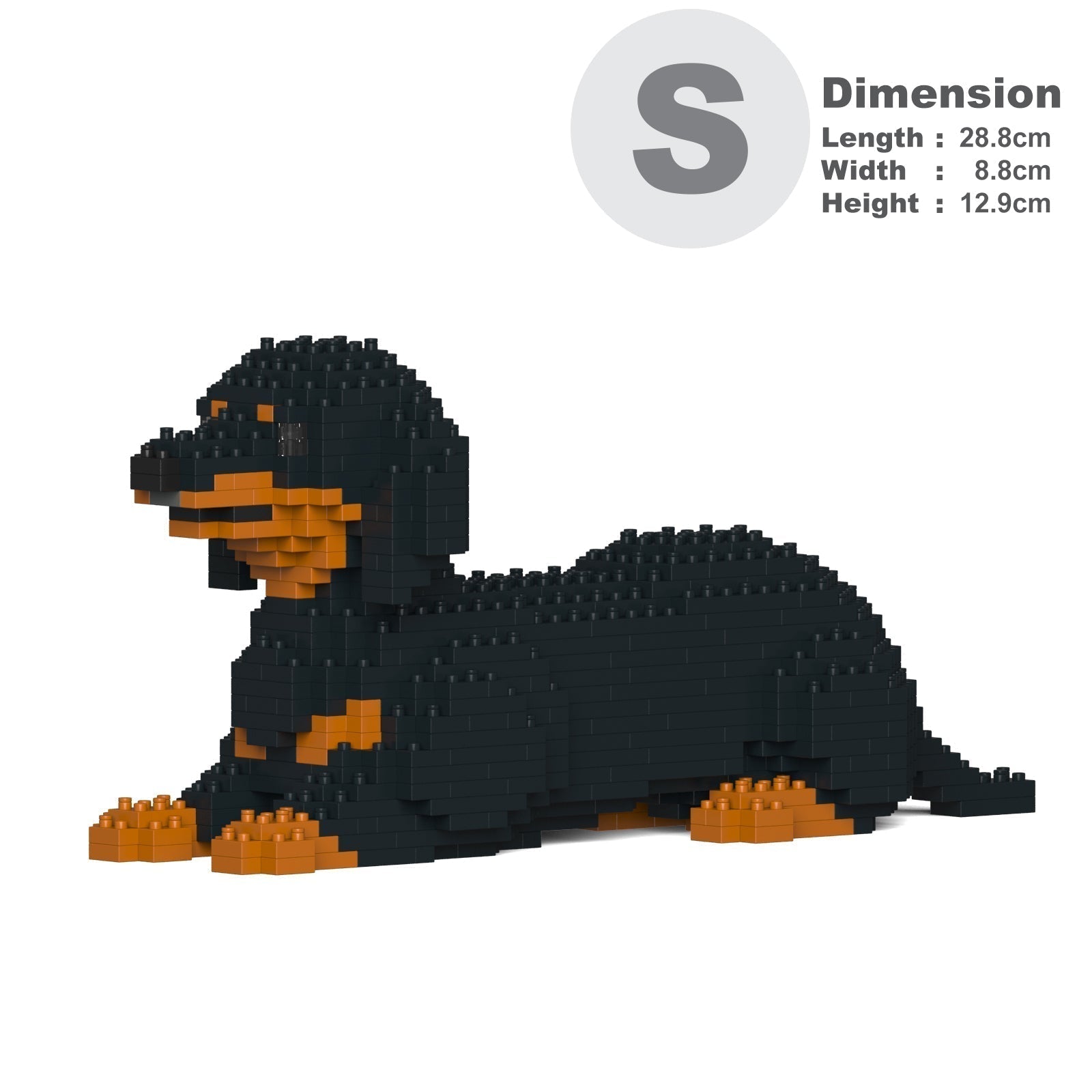 Dachshund 04-M01
