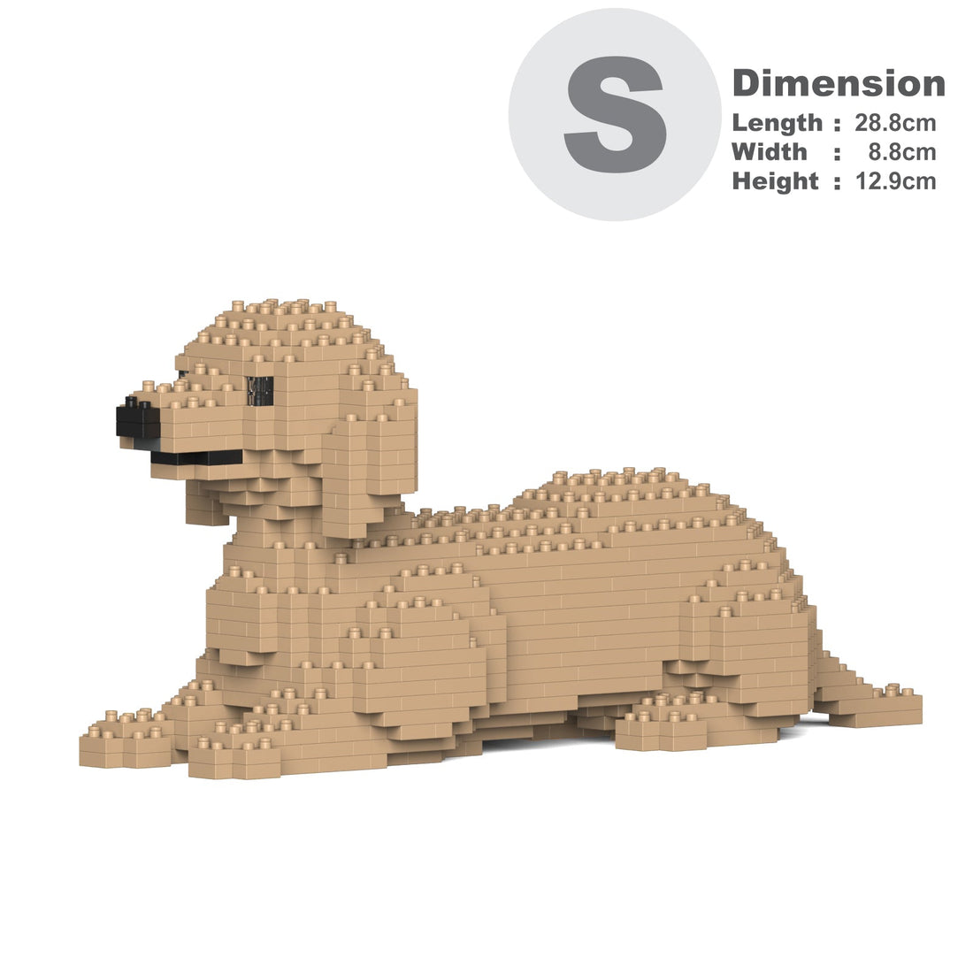 Dachshund 04-M03