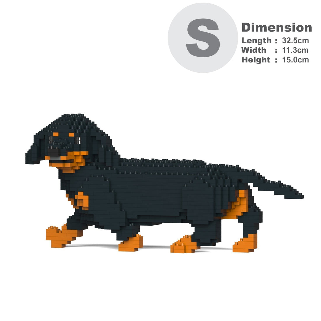 Dachshund 06-M01