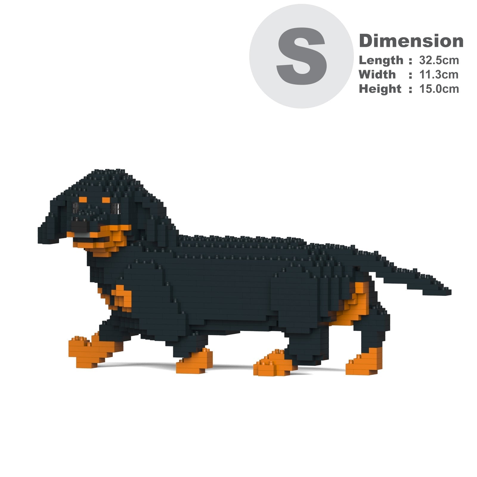 Dachshund 06-M01