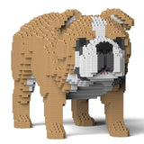 Jekca English Bulldog 4-in-1 Pack 01-M03