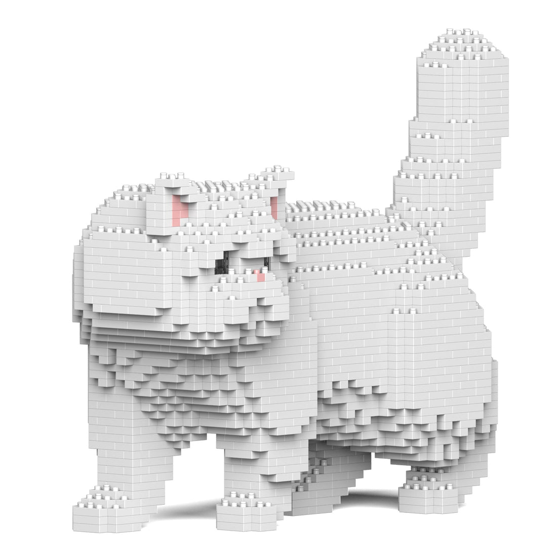 Exotic Shorthair Cat 01S-M03