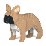 Jekca French Bulldog 02-M01